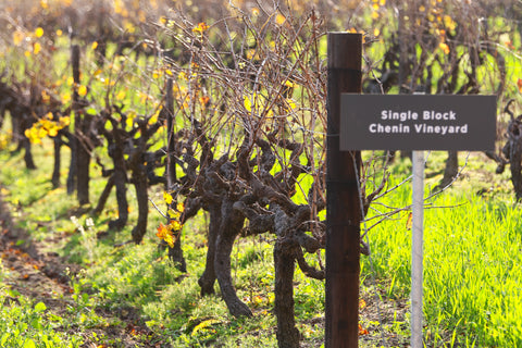 Chenin Blanc