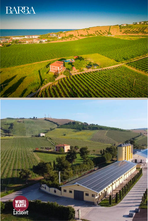 Trebbiano IGT 2021