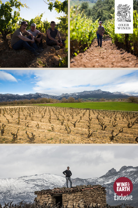 Txakoli Marko Bizkaiko Txakolina 2019