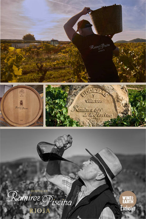 Rioja Crianza 2019